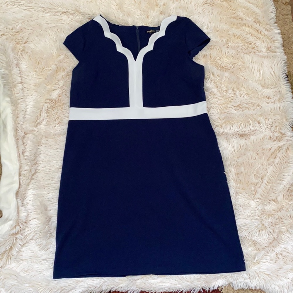 18W dress navy